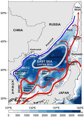 Satellite-Observed Chlorophyll-a Concentration Variability in the East Sea (Japan Sea): Seasonal Cycle, Long-Term Trend, and Response to Climate Index